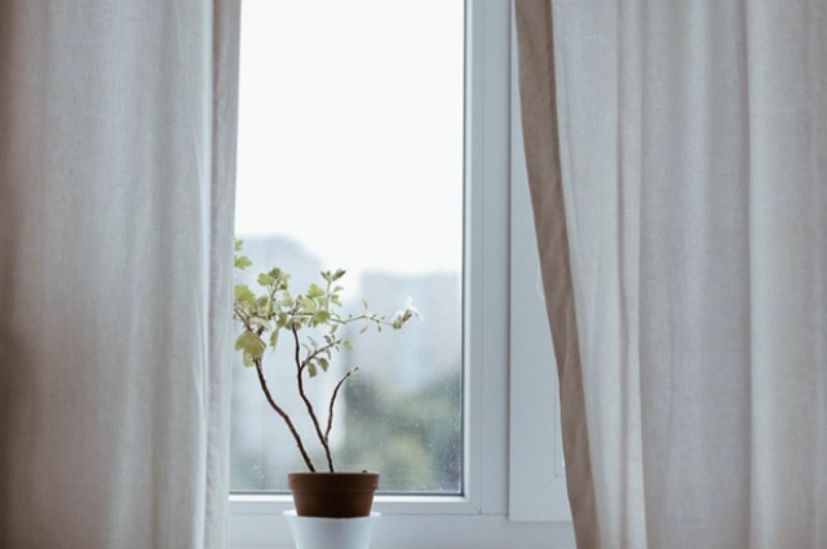 А что, так можно было? 3 проверенных способа, как мыть окна без разводов | АиФ Урал