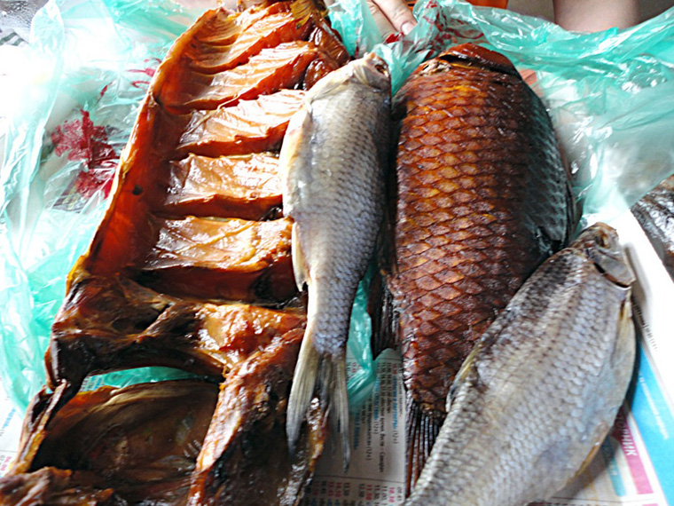 Шегарская РБ / Новости / Бойся описторхоза, сибиряк! Практические советы о том, как не заразиться паразитами